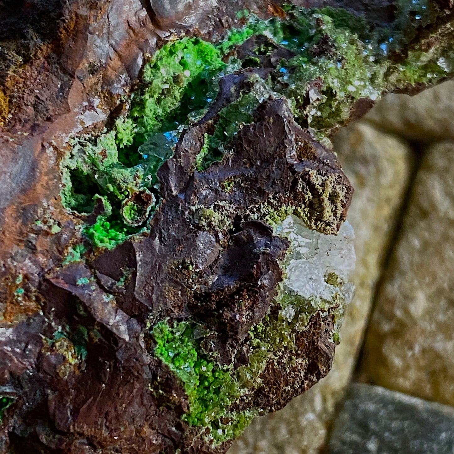 CONICHALCITE WITH CALCITE ETC - HILARION MINE, GREECE. 220g MF2098