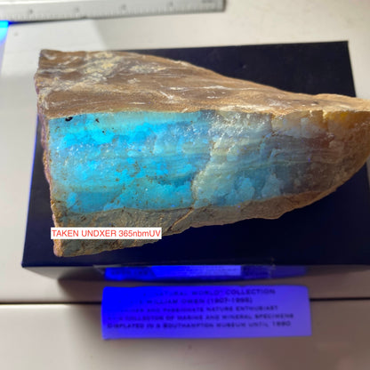 CALCITA EN BANDAS DE LA CANTERA DEL ALMIRANTAZGO, ISEL DE PORTLAND, DORSET 411g MF879