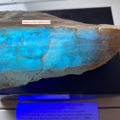 CALCITA EN BANDAS DE LA CANTERA DEL ALMIRANTAZGO, ISEL DE PORTLAND, DORSET 411g MF879