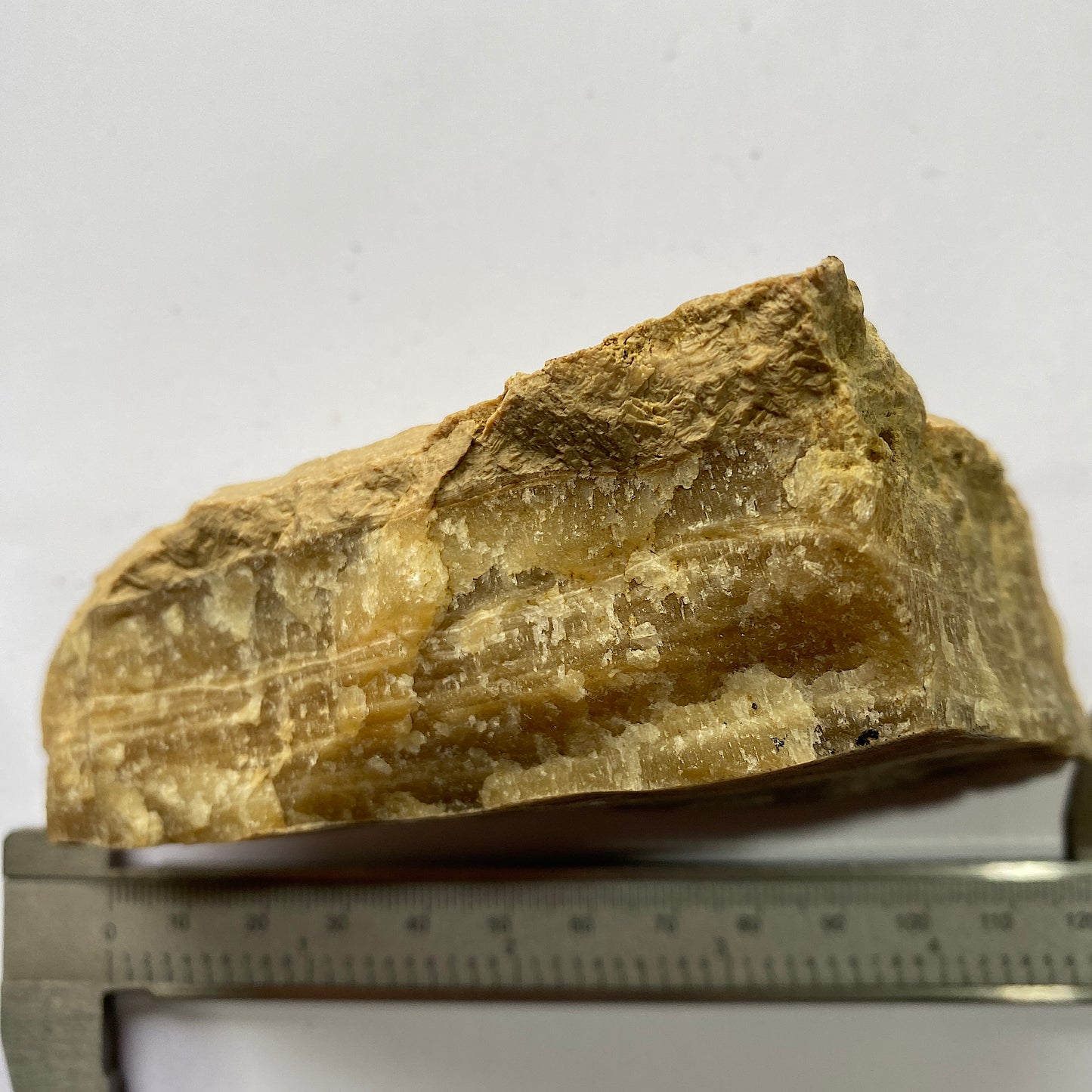 CALCITA EN BANDAS DE LA CANTERA DEL ALMIRANTAZGO, ISEL DE PORTLAND, DORSET 411g MF879