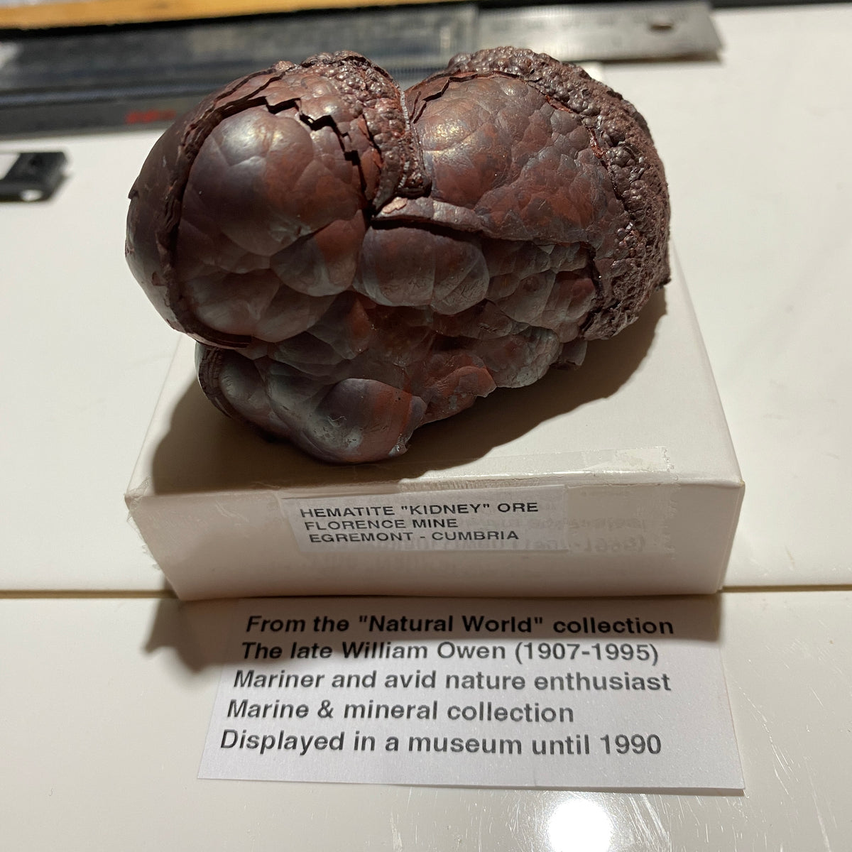 HEMATITE "KIDNEY" IRON ORE : FLORENCE MINE, EGREMONT, CUMBRIA  310g MF5399