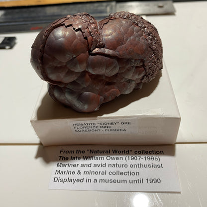 HEMATITE "KIDNEY" IRON ORE : FLORENCE MINE, EGREMONT, CUMBRIA  310g MF5399