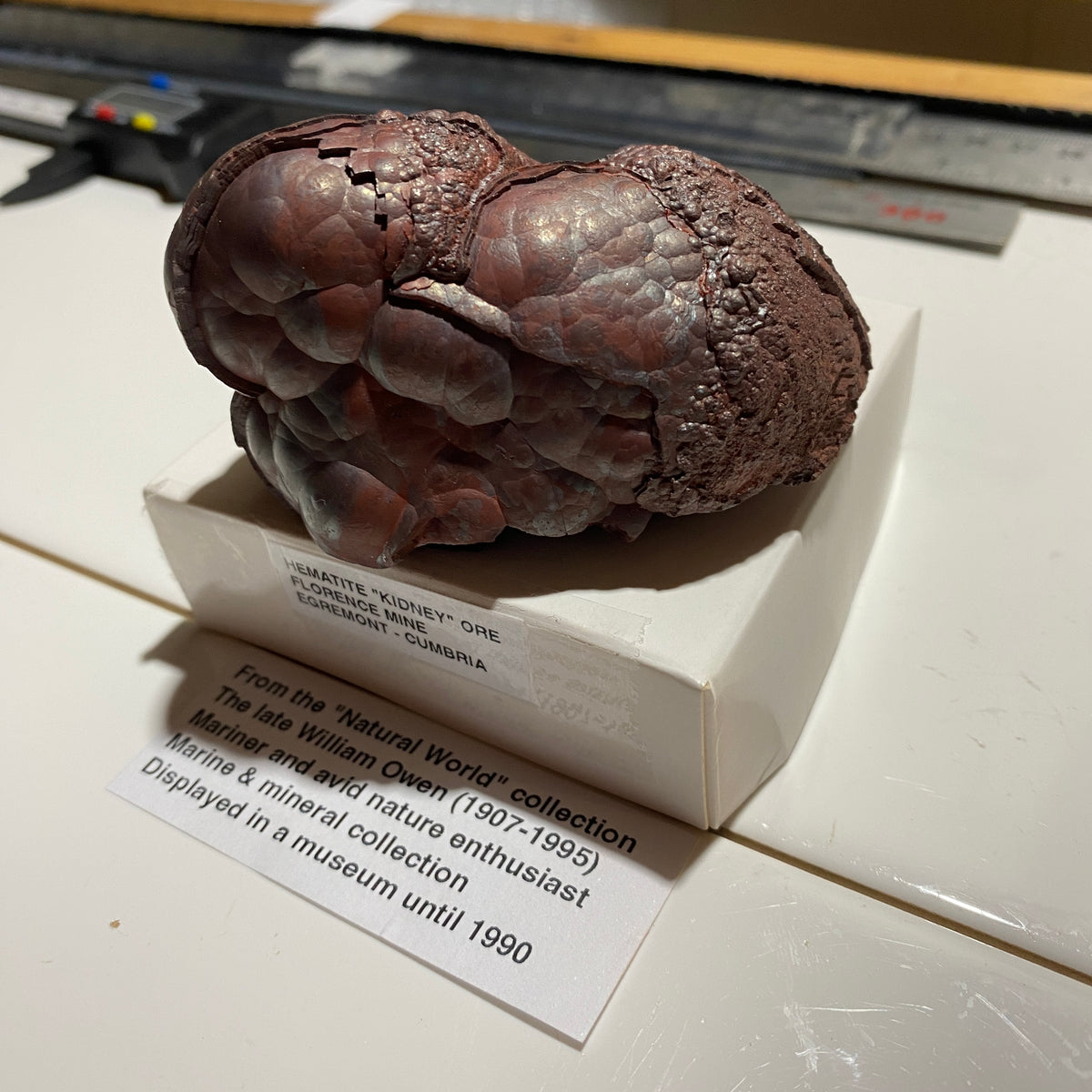 HEMATITE "KIDNEY" IRON ORE : FLORENCE MINE, EGREMONT, CUMBRIA  310g MF5399