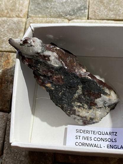 SIDERITE/QUARTZ : ST IVES CONSOLS, HIGHER STENNACK, CORNWALL. 24g MF4727