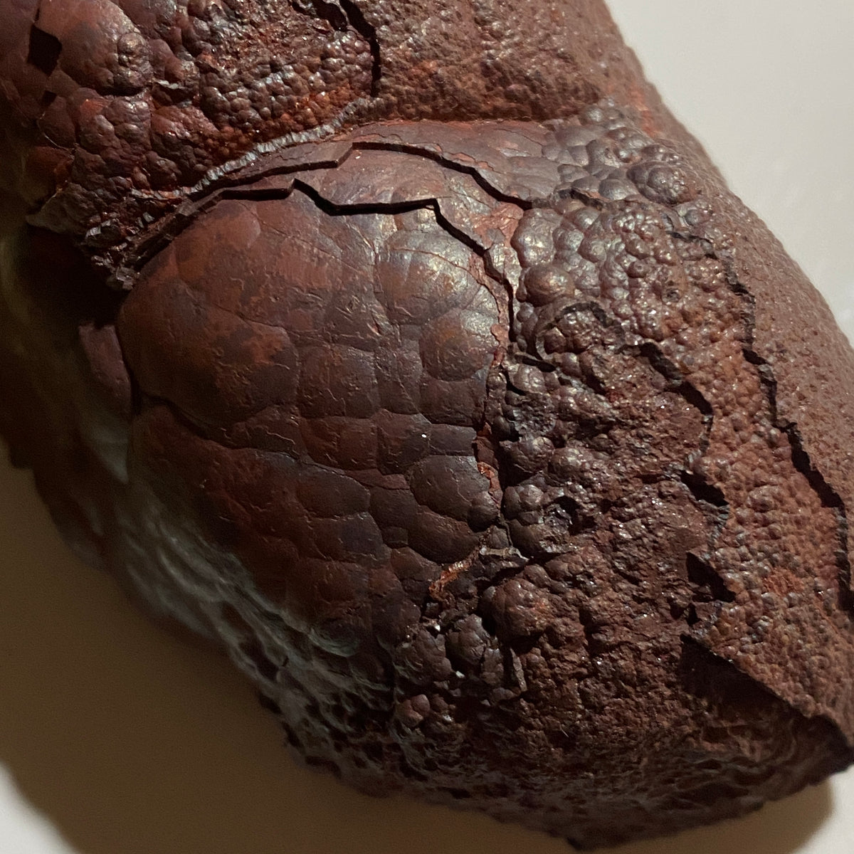 HEMATITE "KIDNEY" IRON ORE : FLORENCE MINE, EGREMONT, CUMBRIA  310g MF5399