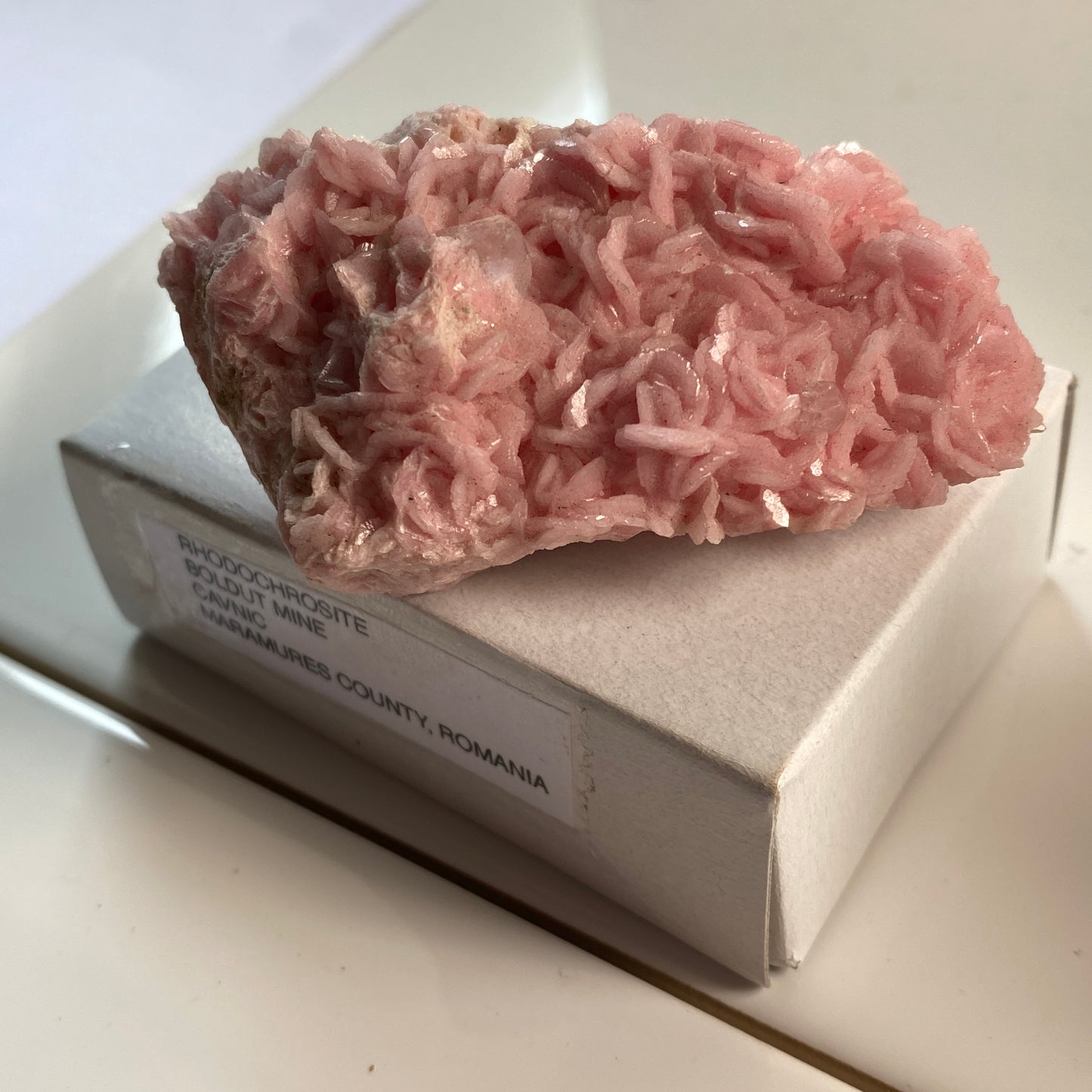 RHODOCHROSITE [ETC] - BOLDUT MINE, CAVNIC, MARAMURES COUNTY, ROMANIA