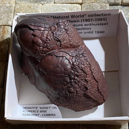 HEMATITE "KIDNEY" IRON ORE : FLORENCE MINE, EGREMONT, CUMBRIA  310g MF5399