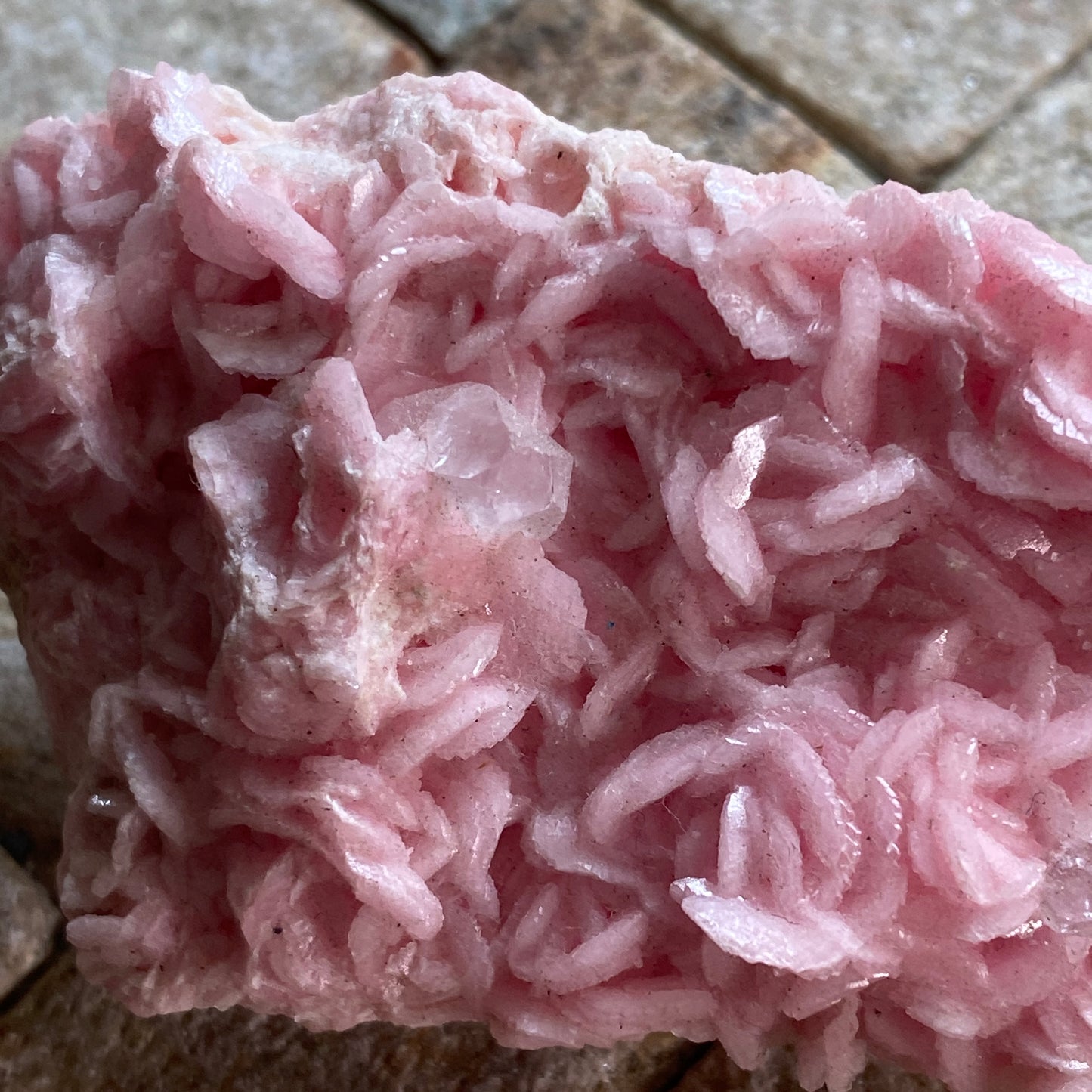 RHODOCHROSITE [ETC] - BOLDUT MINE, CAVNIC, MARAMURES COUNTY, ROMANIA