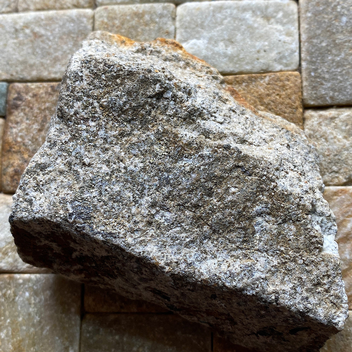 CHALCOPYRITE IN GRANITE : WHEAL VINCENT, ST AGNES, CORNWALL. 232g MF5400