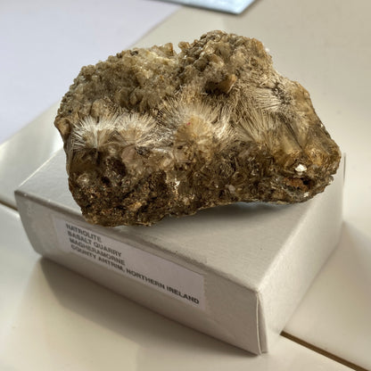 NATROLITE - BASALT QUARRY, COUNTY ANTRIM, NORTHERN IRELAND. 75g MF1970