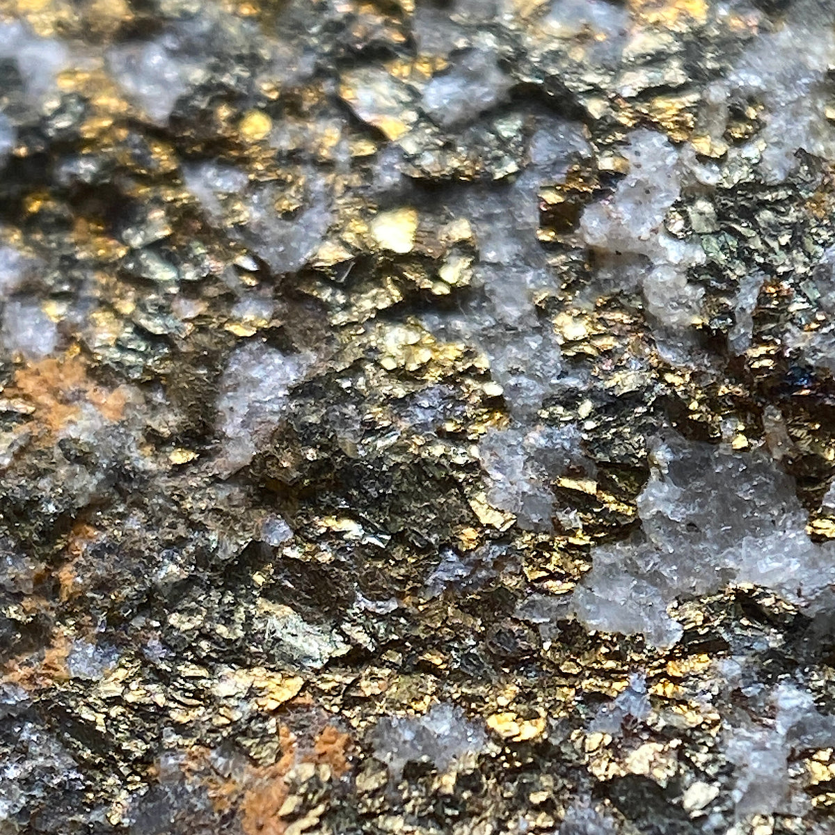 CHALCOPYRITE IN GRANITE : WHEAL VINCENT, ST AGNES, CORNWALL. 232g MF5400