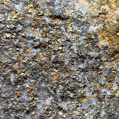 CHALCOPYRITE IN GRANITE : WHEAL VINCENT, ST AGNES, CORNWALL. 232g MF5400