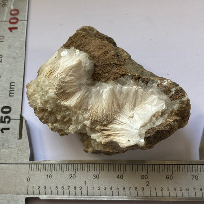 NATROLITE - BASALT QUARRY, COUNTY ANTRIM, NORTHERN IRELAND. 75g MF1970