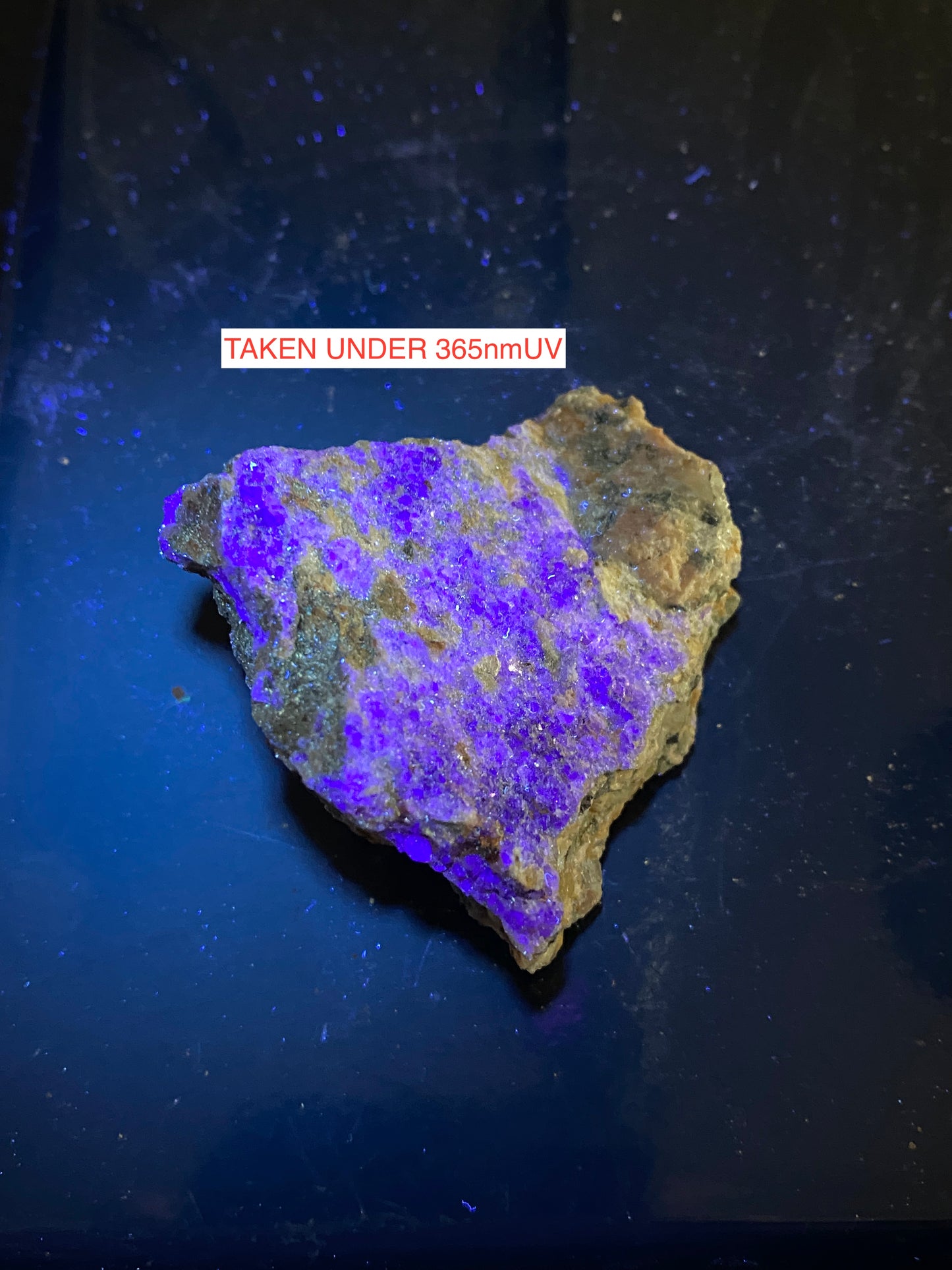 FLUORITE/CHLORITE/MUSCOVITE : PANASQUEIRA MINES, PORTUGAL  56g MF4730