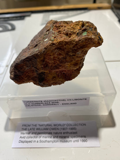 TORBERNITE CRYSTALS [RADIOACTIVE] ON LIMONITE  : OLD GUNNISLAKE MINE, CORNWALL  213g MF4732