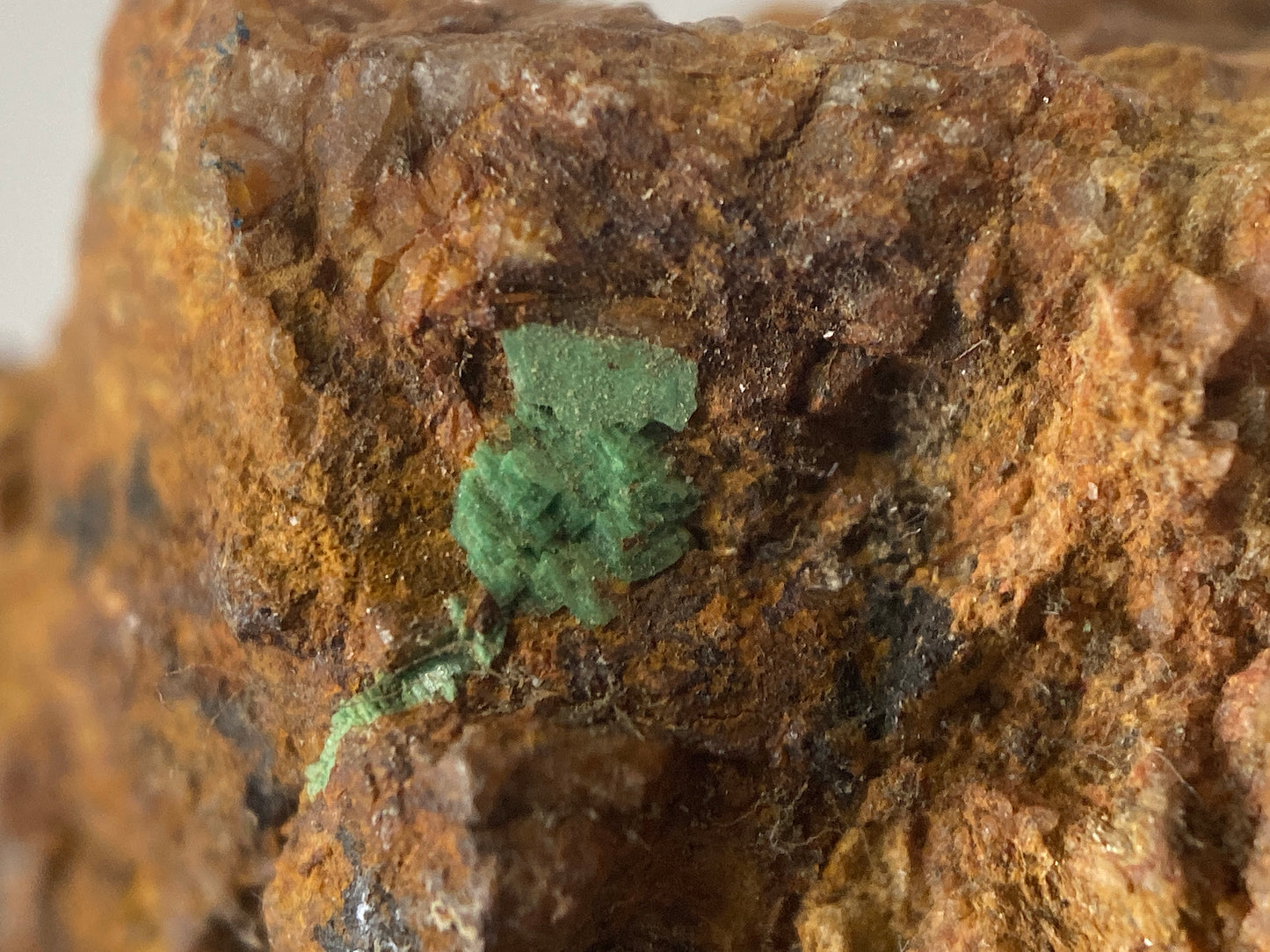 TORBERNITE CRYSTALS [RADIOACTIVE] ON LIMONITE  : OLD GUNNISLAKE MINE, CORNWALL  213g MF4732