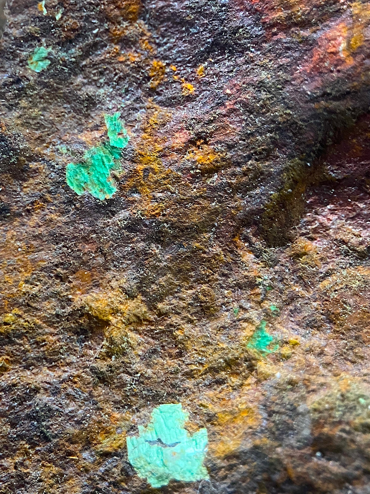 TORBERNITE CRYSTALS [RADIOACTIVE] ON LIMONITE  : OLD GUNNISLAKE MINE, CORNWALL  213g MF4732