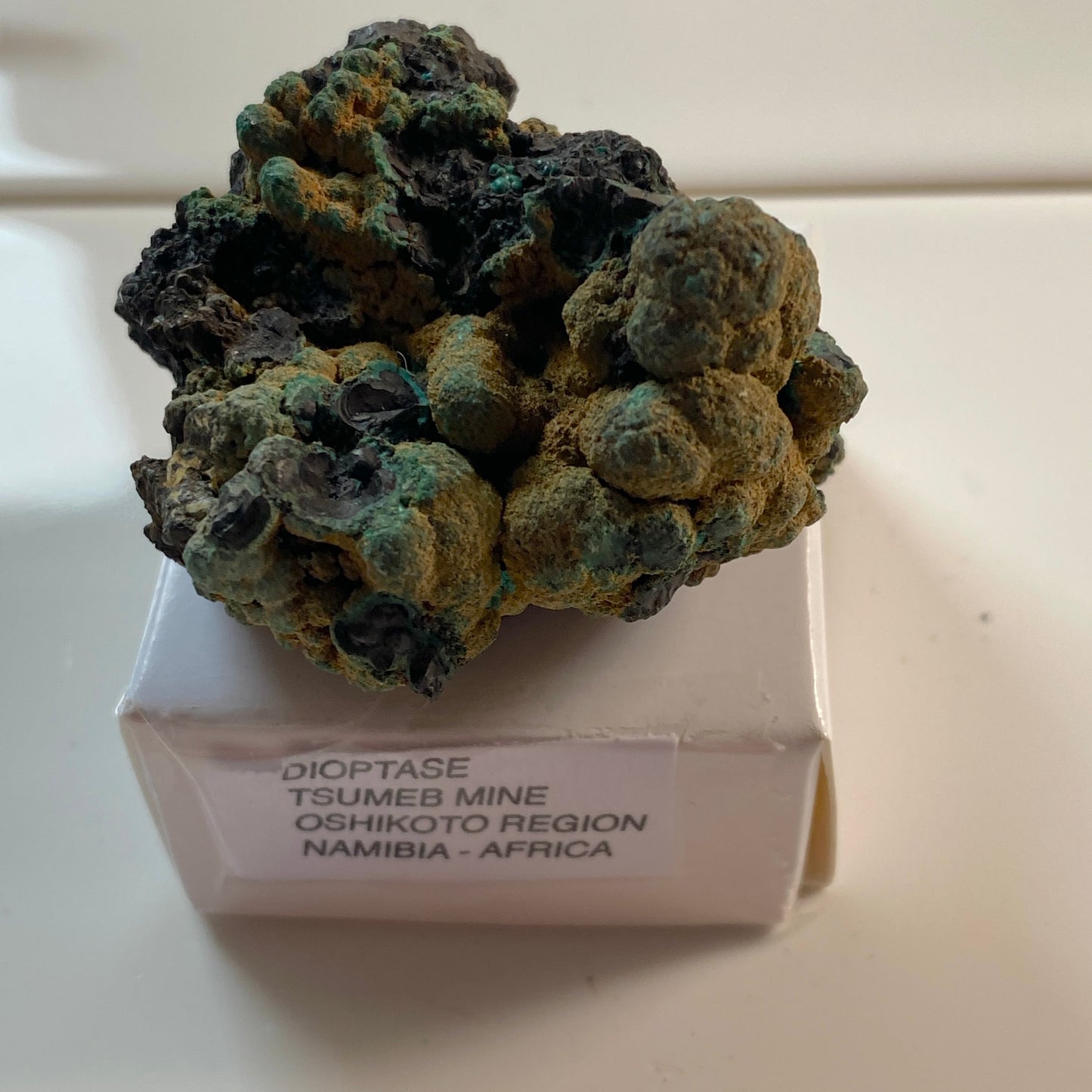 DIOPTASE [ETC] - TSUMEB MINE, OSHIKOTO REGION, NAMIBIA, AFRICA