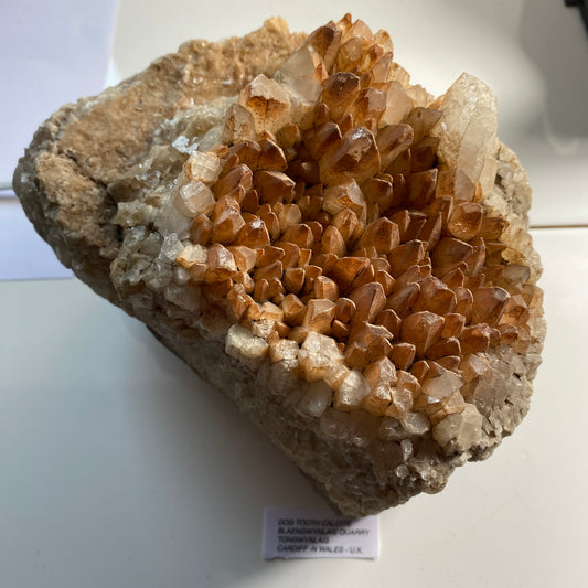 DOG TOOTH CALCITE - BLAENGWYNLAIS QUARRY, WALES SUBSTANTIAL 2315g MF1967