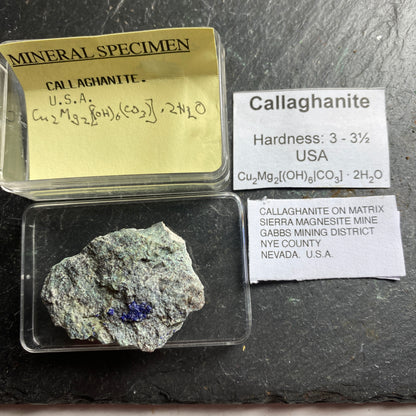 CALLAGHANITE ETC FROM SIERRA MAGNESITE MINE, NEVADA U.S.A. 12g MF1505