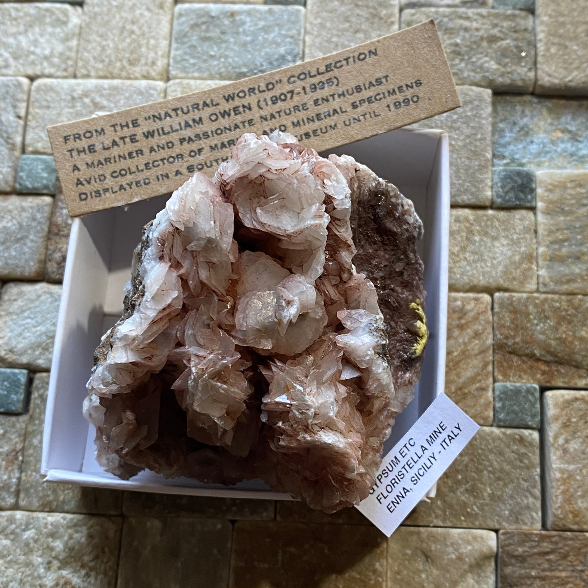 GYPSUM [SELENITE] ETC : FLORISTELLA MINE, ENNA, SICILY, ITALY  298g MF5405