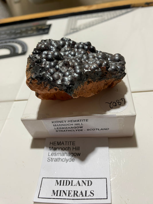 "KIDNEY" HEMATITE : MANNOCH HILL, LESMAHAGOW, STRATHCLYDE, SCOTLAND 211g MF4802