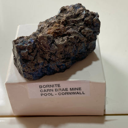 BORNITE [SOLID] : CARN BRAE MINE, POOL, CORNWALL. 84g. MF5406