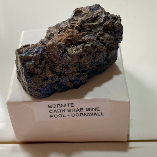 BORNITE [SOLID] : CARN BRAE MINE, POOL, CORNWALL. 84g. MF5406