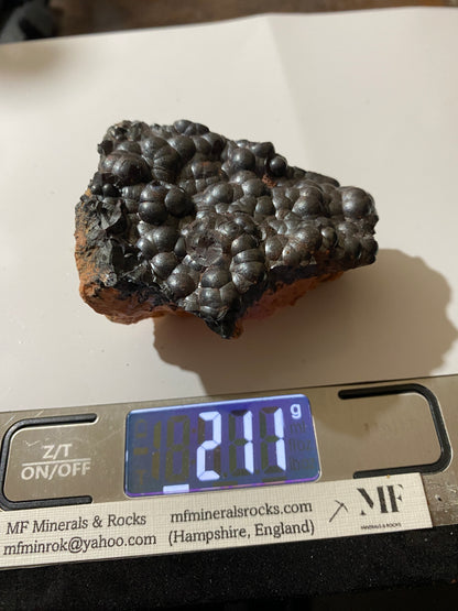 "KIDNEY" HEMATITE : MANNOCH HILL, LESMAHAGOW, STRATHCLYDE, SCOTLAND 211g MF4802