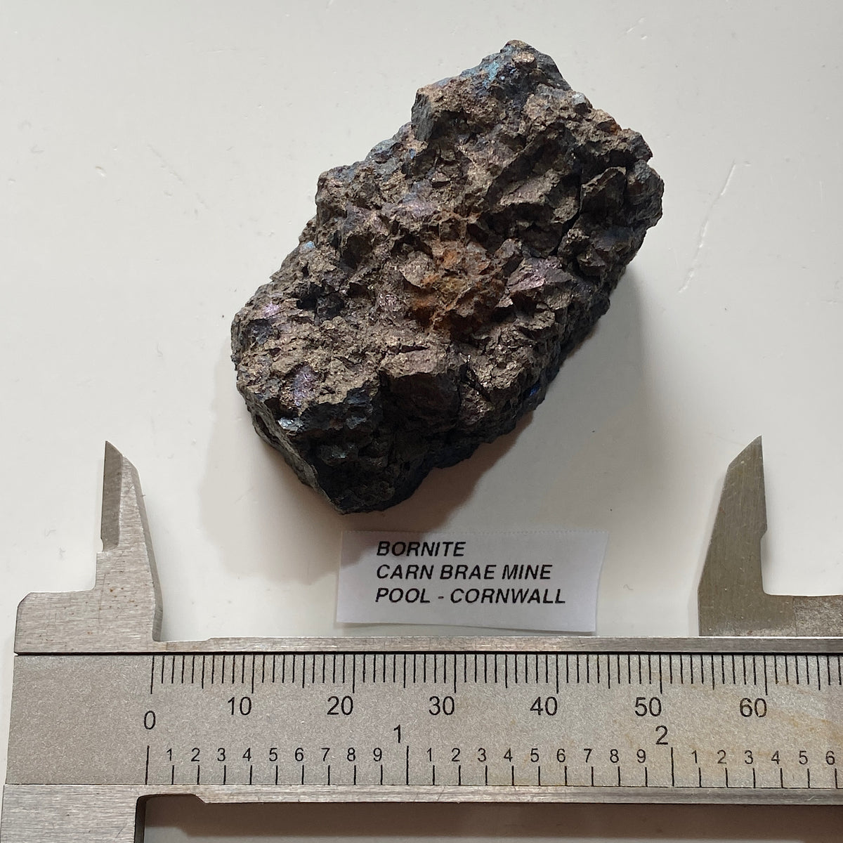 BORNITE [SOLID] : CARN BRAE MINE, POOL, CORNWALL. 84g. MF5406