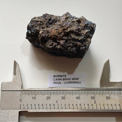 BORNITE [SOLID] : CARN BRAE MINE, POOL, CORNWALL. 84g. MF5406