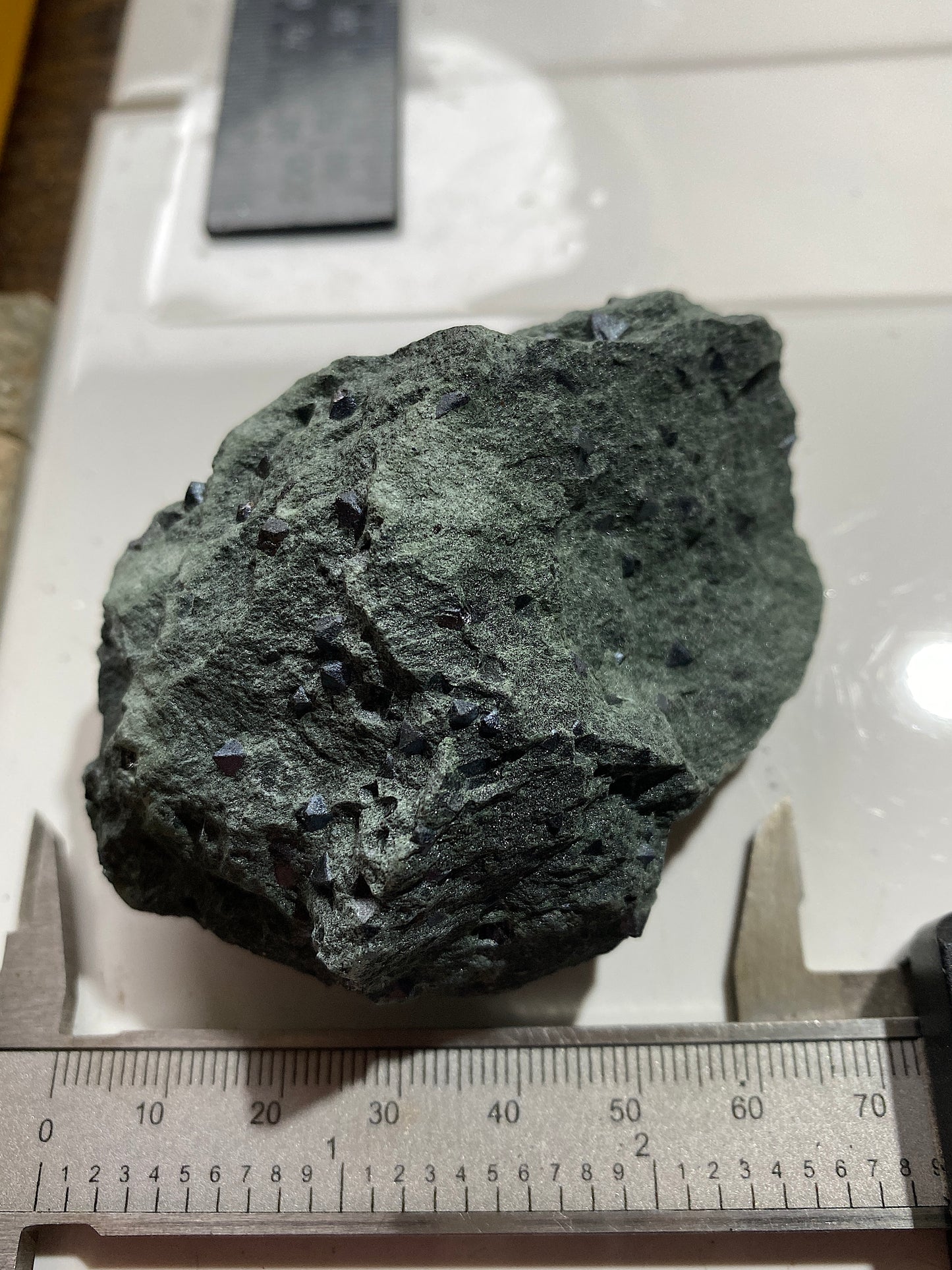 MAGNETITE CRYSTALS IN CLINOCHLORE SCHIST : PUNDY GEO, SHETLAND ISLES 185g MF4804