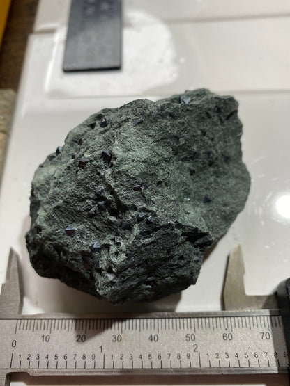 MAGNETITE CRYSTALS IN CLINOCHLORE SCHIST : PUNDY GEO, SHETLAND ISLES 185g MF4804