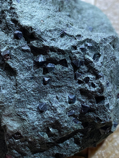 MAGNETITE CRYSTALS IN CLINOCHLORE SCHIST : PUNDY GEO, SHETLAND ISLES 185g MF4804