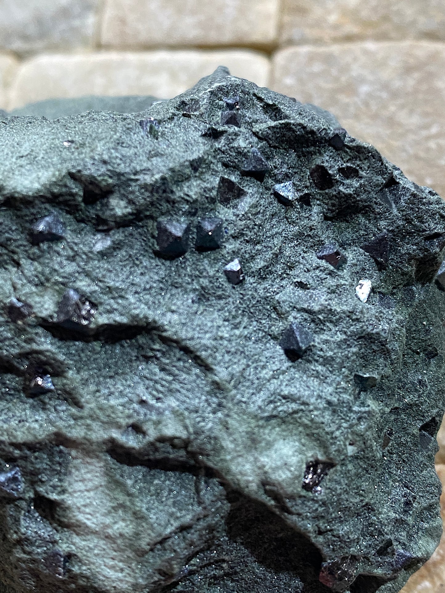 MAGNETITE CRYSTALS IN CLINOCHLORE SCHIST : PUNDY GEO, SHETLAND ISLES 185g MF4804