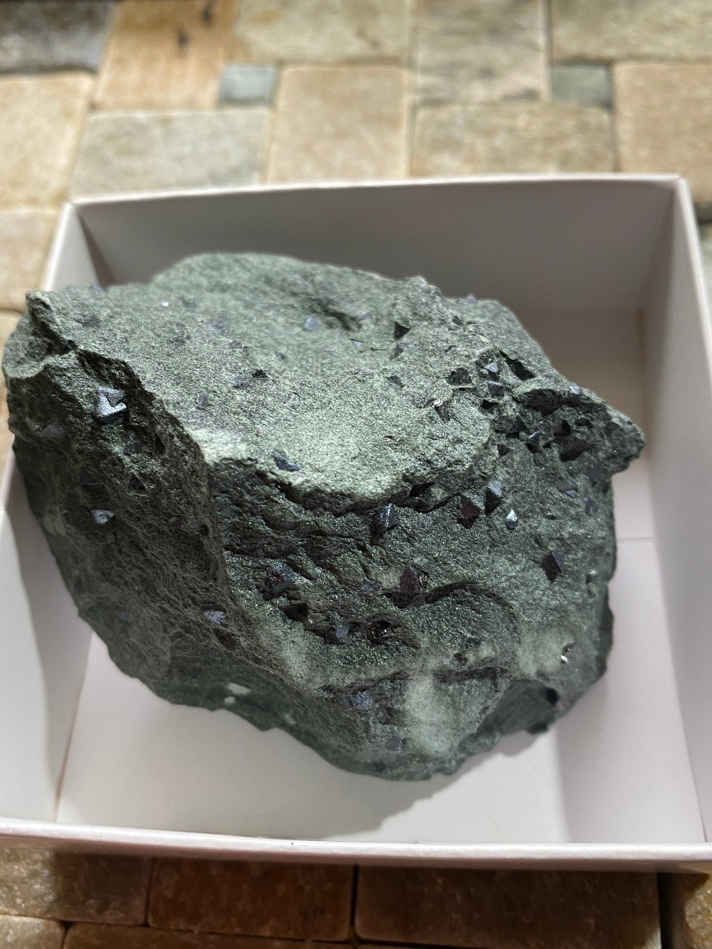 MAGNETITE CRYSTALS IN CLINOCHLORE SCHIST : PUNDY GEO, SHETLAND ISLES 185g MF4804