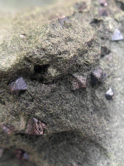 MAGNETITE CRYSTALS IN CLINOCHLORE SCHIST : PUNDY GEO, SHETLAND ISLES 185g MF4804