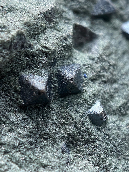 MAGNETITE CRYSTALS IN CLINOCHLORE SCHIST : PUNDY GEO, SHETLAND ISLES 185g MF4804