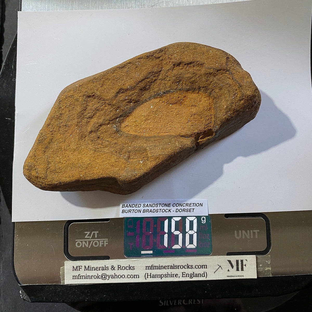 BANDED SANDSTONE CONCRETION : BURTON BRADSTOCK, JURASSIC COAST, DORSET. 158g  MF5409