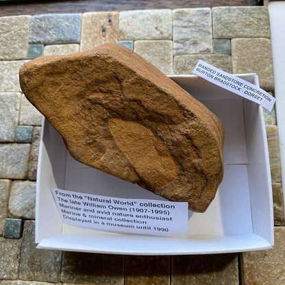 BANDED SANDSTONE CONCRETION : BURTON BRADSTOCK, JURASSIC COAST, DORSET. 158g  MF5409