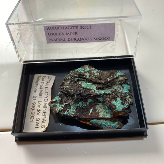 AURICHALCITE ON MATRIX - OJUELA MINE, MAPIMI, DURANGO, MEXICO 28g MF850