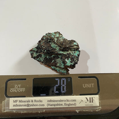 AURICHALCITE ON MATRIX - OJUELA MINE, MAPIMI, DURANGO, MEXICO 28g MF850