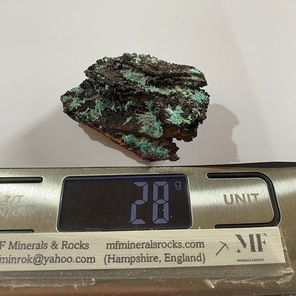 AURICHALCITE ON MATRIX - OJUELA MINE, MAPIMI, DURANGO, MEXICO 28g MF850