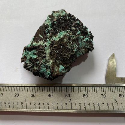 AURICHALCITE ON MATRIX - OJUELA MINE, MAPIMI, DURANGO, MEXICO 28g MF850
