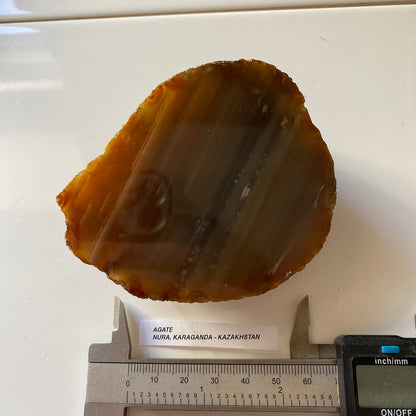 AGATE NODULE : NURA, KARAGANDA REGION, KAZAKHSTAN. 303g. MF5412