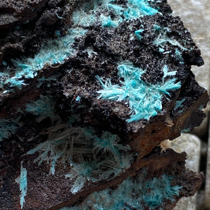 AURICHALCITE ON MATRIX - OJUELA MINE, MAPIMI, DURANGO, MEXICO 28g MF850