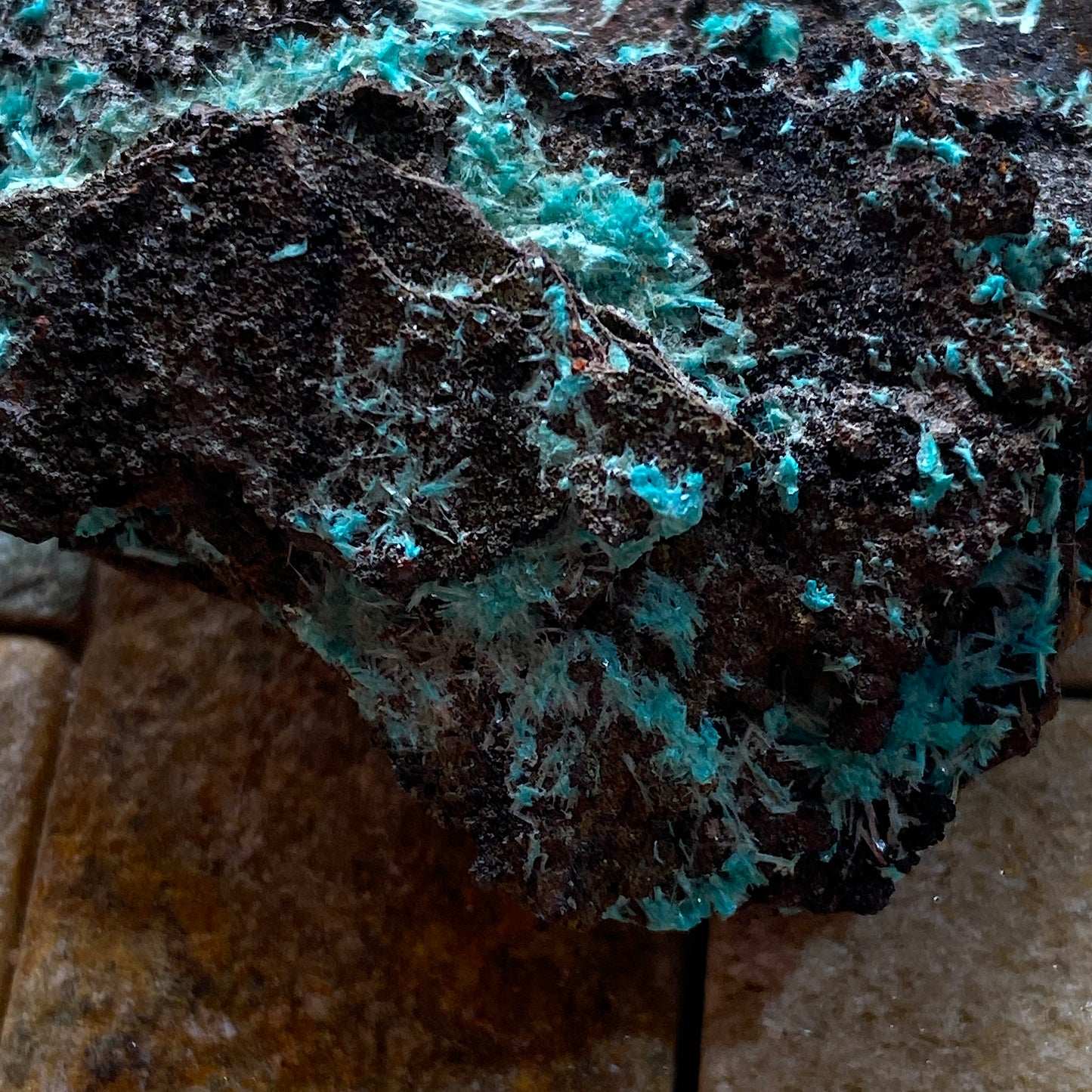 AURICHALCITE ON MATRIX - OJUELA MINE, MAPIMI, DURANGO, MEXICO 28g MF850