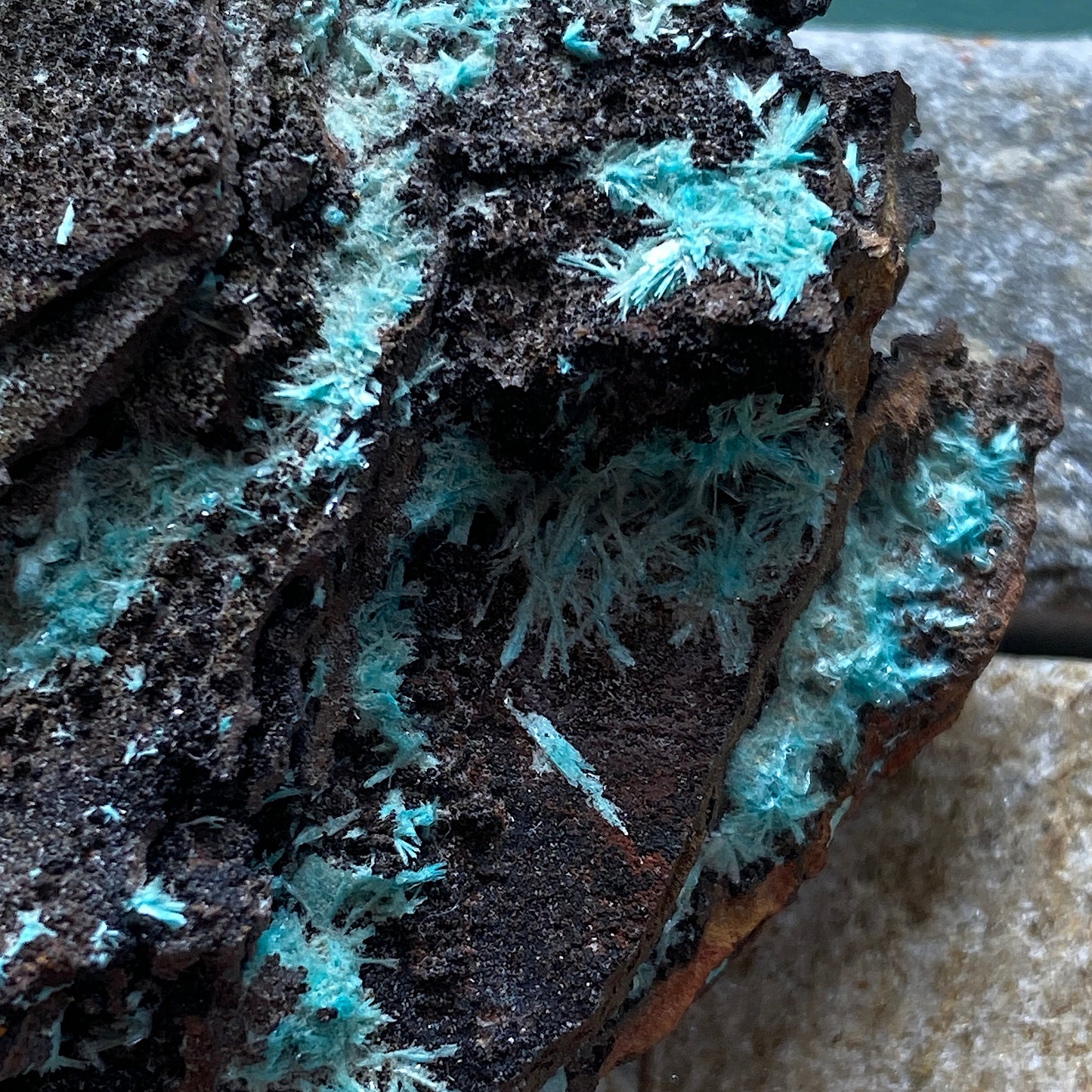 AURICHALCITE ON MATRIX - OJUELA MINE, MAPIMI, DURANGO, MEXICO 28g MF850