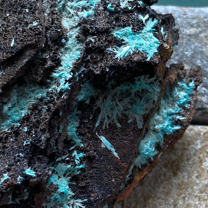 AURICHALCITE ON MATRIX - OJUELA MINE, MAPIMI, DURANGO, MEXICO 28g MF850