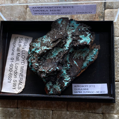 AURICHALCITE ON MATRIX - OJUELA MINE, MAPIMI, DURANGO, MEXICO 28g MF850